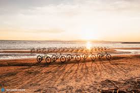 7 items in this article. The Best Mountain Bike Of 2021 22 Mtbs For Trails Tours And Adventures