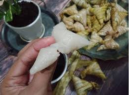 Jadi rasanya juga tidak sama, tidak dapat menyamai keunikan rasa ketupat palas, dari negeri kelahiran ku. Ketupat Bonda Ketupat Palas Frozen Kelantan Yang Sedap Lembut Dan Murah