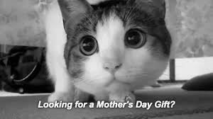 Meme funny mothers day gif. Best Mothers Day Gifs Gfycat