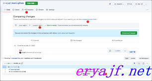 GitHub中开源项目维护流程手册| 二丫讲梵
