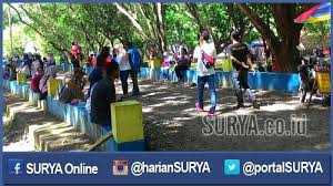 Wego lamongan menawarkan wisata edukasi dengan area taman hijau sejuk. Waduk Gondang Dari Zaman Soeharto Masih Jadi Primadona Wisata Di Lamongan Surya