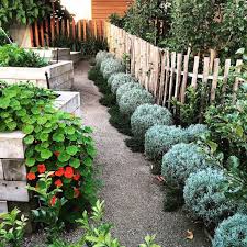 Fiona Brockhoff Design Yencken Material S And Planting Concepts Spa Landscaping Plants Landscape Design