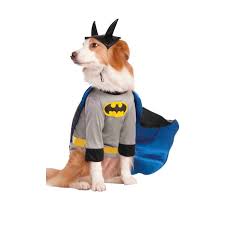 Get to know all about tom hardy, the british actor who doesnt have to pretend to be the bad boy of hollywood 31295074 Costume Da Batman Per Cane