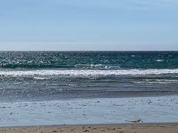 Maybe you would like to learn more about one of these? Jalama Beach Cabins Picture Of Jalama Beach County Park Lompoc Tripadvisor