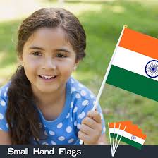 Amazon.com: AhfuLife 15pcs India Hand Held Flag for for 26th January  Decorations, 5.5 × 8.2 Inch India Stick Flag Small Flags with 11.8 Inch  Poles for National Day Independence Day Garden Street