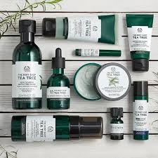 Today i'm taking up the body shop's tea tree skin clearing toner which is suitable for skin which has blemishes. Tea Tree Skin Clearing Mattifying Toner The Body Shop Nigeria