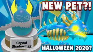 You're supposed to work to get the pets and potions then you can trade it not redeem codes and get. New Shadow Dragon In Adopt Me Roblox Adopt Me Halloween 2020 Pet Concept Youtube
