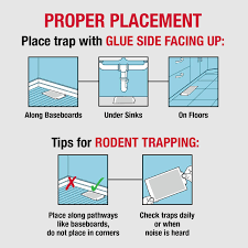 The most reputable company and it's a world largest online shopping website and one of the safest places to buy catchmaster pantry pest traps 1 pack of 2 traps online. Amazon Com Catchmaster Aa1170 72max Pest Trap 72 Pack White Garden Outdoor