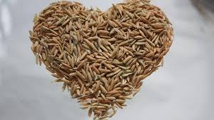 It often refers to the leafy outer covering of an ear of maize (corn) as it grows on the plant. Husk To Home Building Houses From Rice In The Philippines Development Reset Org