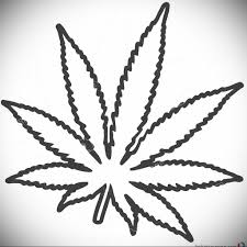 A simple drawing tutorial for drawing a very basic weed leaf of marijuana. Sketch Marijuana Tattoo 30 09 2019 002 Hemp Marijuana Tattoo Tattoovalue Net Tattoovalue Net