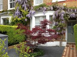 Front Garden London Front Garden Designs Google Search Small Front Gardens Small Front Garden Ideas Uk Garden Ideas Uk