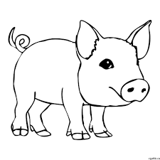 Pin On Pigs