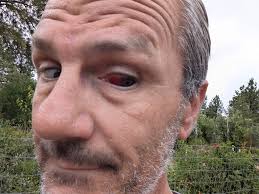 What are your thoughts