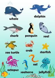 Specific Water Animals Chart With Names 2019