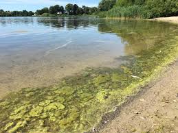 Missnyxdawn telegram she owns a lovely apartment in a