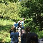 Outreach Event: Musical Trail Walk at Baltimore Woods