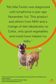 Homemade Diet Chemo And Nhv Supplements A Holistic Approach To Lymphoma In Dogs In 2020 Lymphoma In Dogs Dogs Losing A Dog