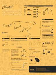 What Makes The Cheetah A Fast Runner Visualoop Animated Infographic Infographic Data Visualization