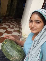 Exploring the Historic Town of Mandi: A Journey Through Time