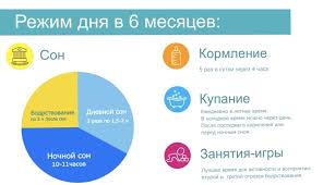 Rezhim Dnya V 6 Mesyacev Rebyonok Deti Rezhim Son Prikorm Malysh Mama Pie Chart Chart 10 Things