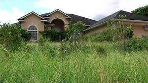 Image Result For Overgrown Lawn Foreclosures Mortgage Lenders Mortgage Brokers