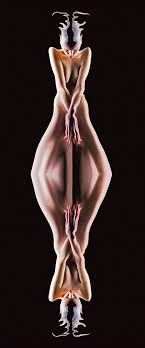 HORNY WOMAN REFLECTING Digital by M Lawrence | Saatchi Art