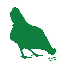 GMO molecular characterization details