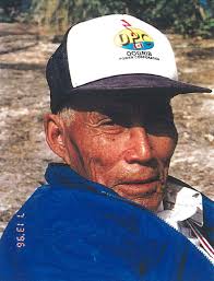 The Trees All Changed to Wood