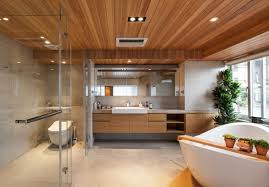 Badezimmer Design Effektvolle Wohlfuhl Einrichtungen Holzdecken Badezimmer Design Und Modernes Badezimmerdesign