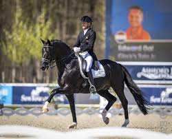 Edward was riding the delightful daisy in paris (by don frederico). Video 79 681 Voor Edward Gal En Glock S Toto Jr Op Nk Dressuur Horses Nl