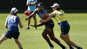 Geelong playing list for 2021 (compare with the other club lists for 2021) experience average 88.0 games ranked 1st for the year. Geelong Cats 2021 Key Forwards To Play Dual Roles For Geelong Geelong Advertiser