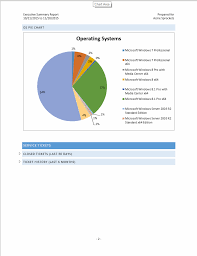 Executive Summary Of A Report Example Exec Summary Template