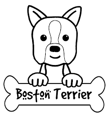 Boston terrier coloring pages free. Pin On Party Puppy Kylie S 1st Bday