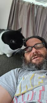 Attention Residents in the area of Benjamin, Yeoman, Graham, Lewis &  Ponton: I'm trying to gather any information I can about a skinny, short  haired, black cat with a possible leg injury.