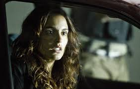 La madre ed il fratello viene rapito a causa del padre, agente della cia a sua insaputa. La Fredda Luce Del Giorno Film 2012