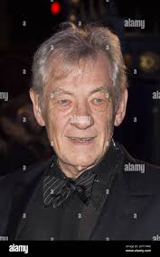 Ian mckellen hi-res stock photography and images