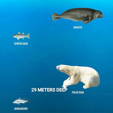 This Website Lets You To Scroll To The Bottom Of The Ocean And Discover Deep Sea Animal Life In 2020 Wolf Dog Animals Dog Photograph