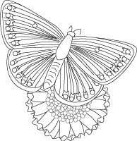 15 crazy busy coloring pages for adults. Easy Coloring Pages For Seniors Coloring And Malvorlagan