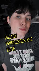 Bisexual Pillow Princess