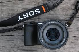 Image quality, for example, is fantastic. Sony A6600 Review Trusted Reviews