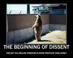 A visual journey of our economy, the Occupy Movement, and other ... via Relatably.com