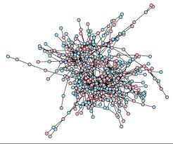 Résultat de recherche d'images pour "the structure of romantic and sexual relations at jefferson high school"
