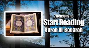 Baca surat al baqarah lengkap bacaan arab, latin & terjemah indonesia. 7 Reasons To Start Reading Surah Al Baqarah Right Away Gsalam Net