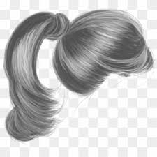 Grey hair styling is becoming more and more popular. Hair Arianagrande Arianahair Arianagrandehair Ponytail Driftwood Hd Png Download 1024x2114 2269675 Pngfind