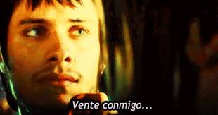 Amores Perros Gael Garcia Bernal Ficcion Amor