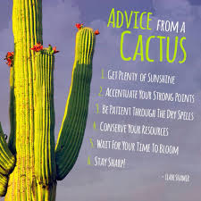 Advice From A Cactus Cactus Quotes Cactus Words