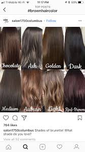 Pin By Dixie Warner On Hair Color Medium Brown Hair Color Ash Hair Color Medium Hair Styles