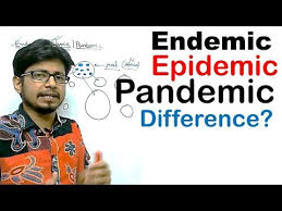 Endemic Epidemic And Pandemic Difference Youtube