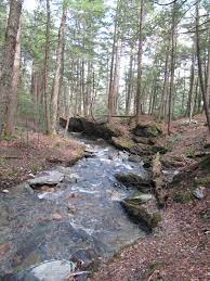I'm a fan of our state park systems. Savoy Mountain State Forest Wikipedia