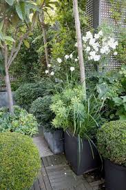 Landscape Gardening Jobs Exeter What Simple Landscape Gardening Ideas Shade Garden Garden Landscaping Outdoor Gardens